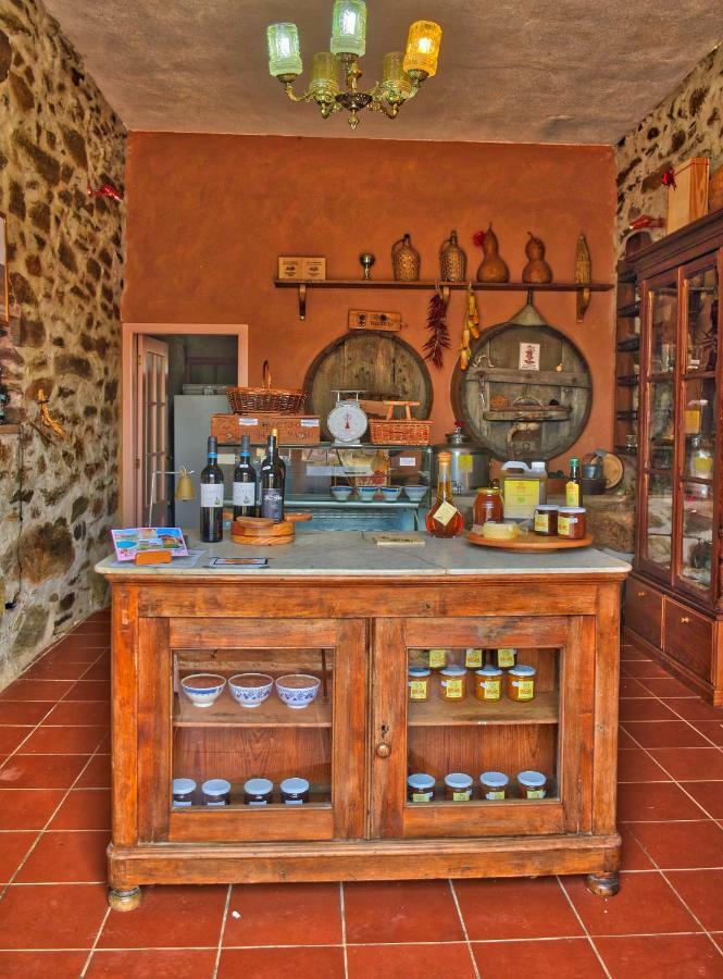 Quinta Do Barracao Da Vilarica Lodões Extérieur photo